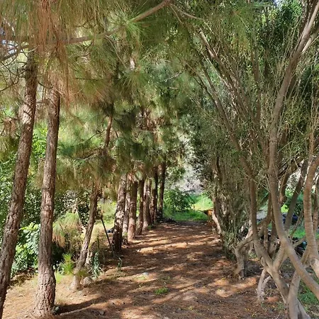 Arenales By Rivero 度假居 Tasarte